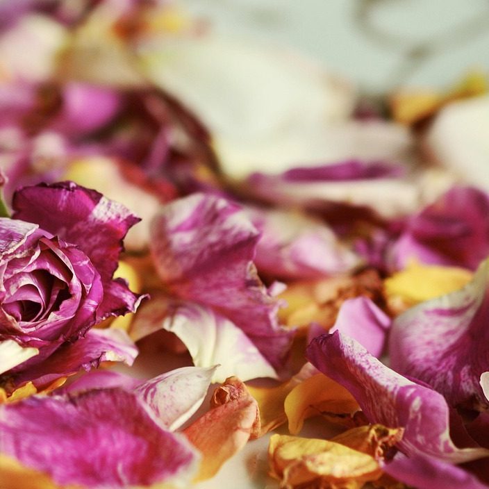 Verwelkte Rosenblätter, Ausdruck dafür, dass ein Leben zu Ende gegangen ist.