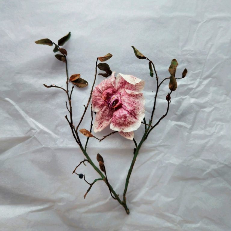 Verwelkte Rosenblätter, Ausdruck dafür, dass ein Leben zu Ende gegangen ist.